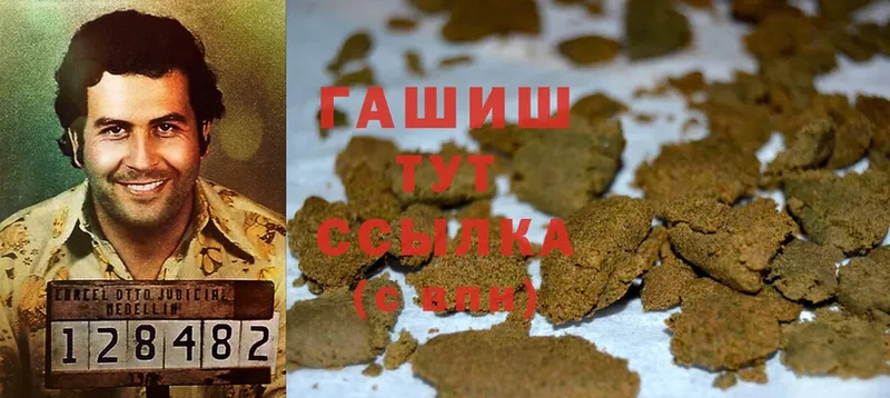 ГАШ AMNESIA HAZE  где купить наркотик  mega как войти  Новодвинск 