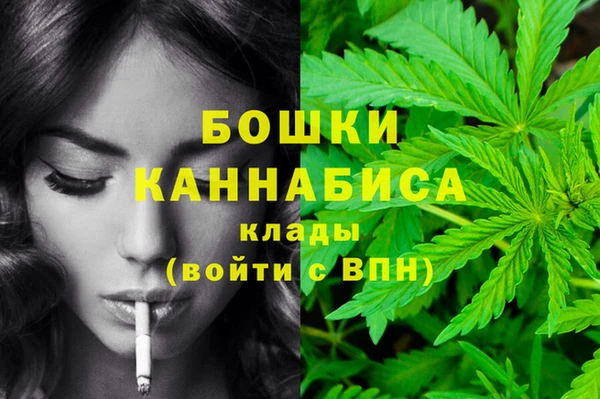 ALPHA PVP Новодвинск