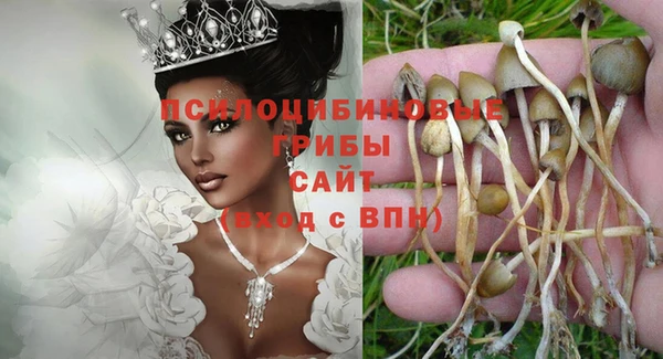 марихуана Новокубанск