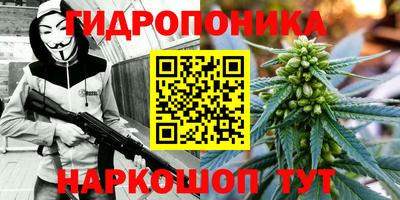mdma Дубна