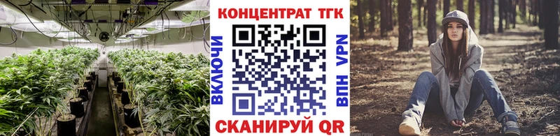 hydra как войти  Новодвинск  ТГК жижа  наркошоп 