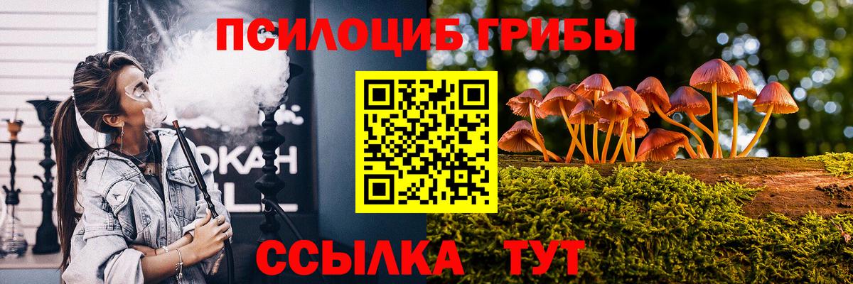 Галлюциногенные грибы ЛСД Новодвинск