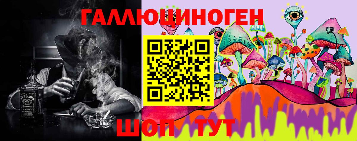 Псилоцибиновые грибы Cubensis  купить наркоту  Новодвинск  Вход с VPN 