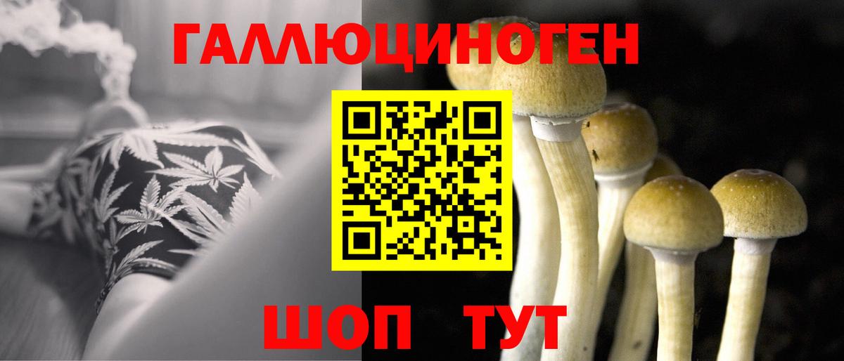 Галлюциногенные грибы мухоморы  Новодвинск 