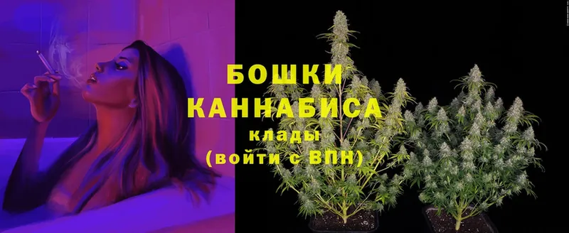 Шишки марихуана White Widow  площадка телеграм  Новодвинск 