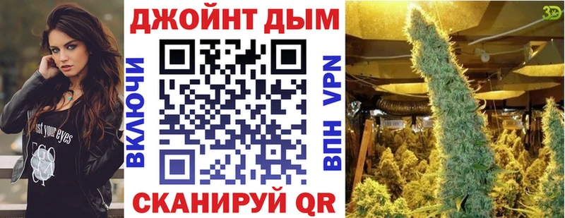 Канабис семена  где найти наркотики  Новодвинск 