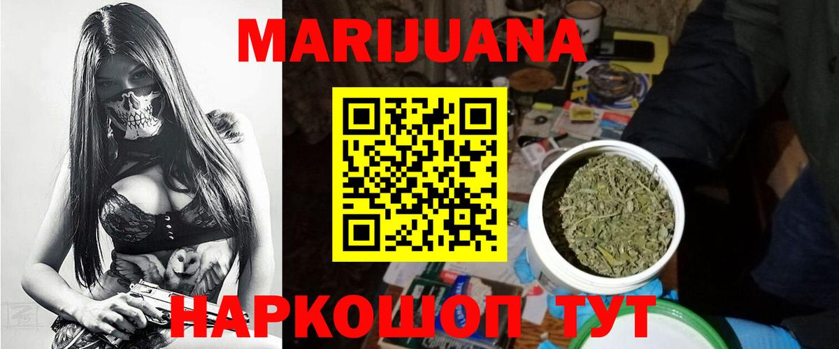 Канабис сатива Новодвинск